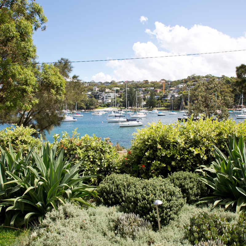 fairlight - harbourside landscape