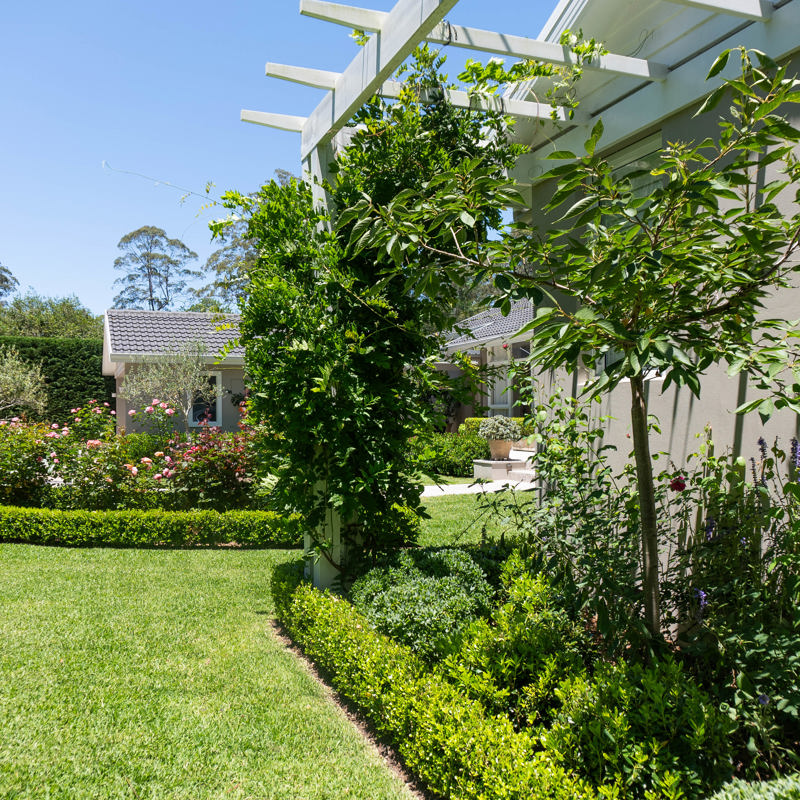 Wahroonga - formal cottage garden