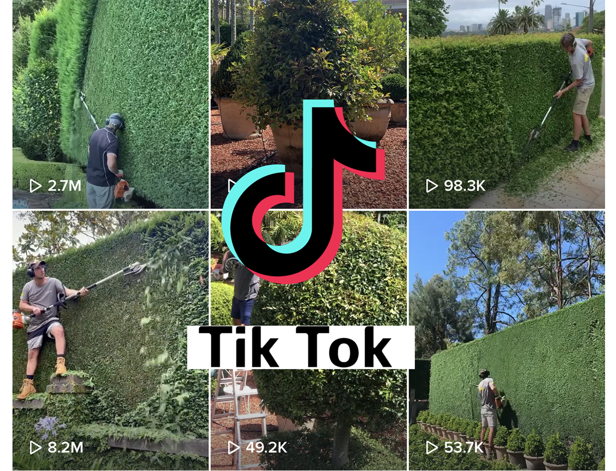 Beecraft Landscape - TikTok Viral?!