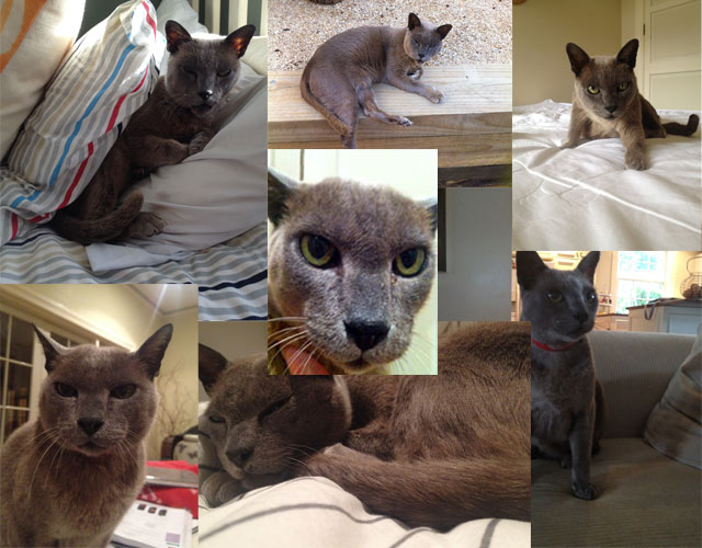 security guard, rupe